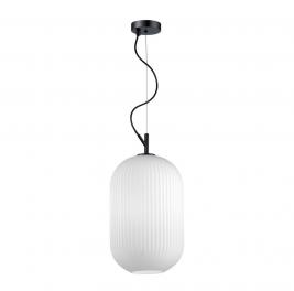 Подвесной светильник Odeon Light Roofi 4752/1