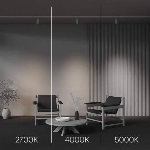 Трековый светильник Maytoni Technical Trinity  2700-5000K Focus Led TR197-3-12WCCT-M-W
