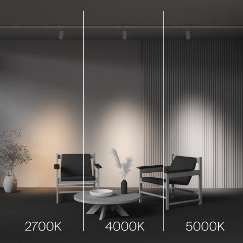 Трековый светильник Maytoni Technical Trinity  2700-5000K Focus Led TR197-3-20WCCT-M-W