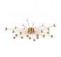 Люстра Freya Celebrity  FR5242CL-24BS