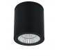 Уличный светильник Arte Lamp Torcular  A1813PF-1BK