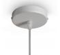 Подвесной светильник Freya Pearl FR5388PL-01CH